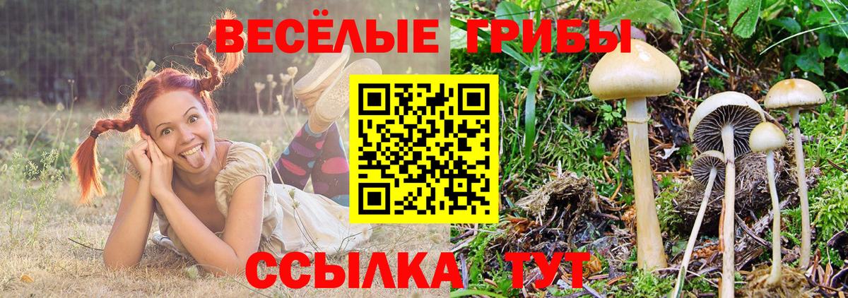 Галлюциногенные грибы мицелий  купить наркоту  Ипатово  Вход с VPN 